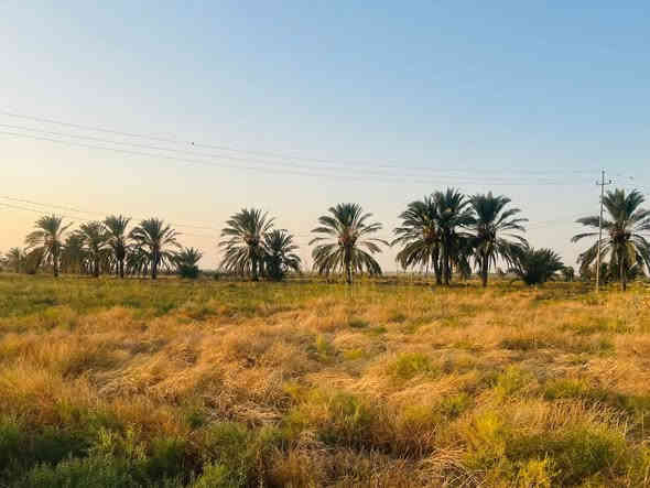 سلام عليكم ارض طابو للبيع المساحه 30 دونم سند مستقل بأسم شخص واحد الارض مكانه حلوه تصلح مجمع سكني او شاليات  كافه الخددمات متوفره تبليط ماء كهرباء العنوان طريق كربله نجف طريق مفرك الكفل عمود 350 
استفسار. ***********
