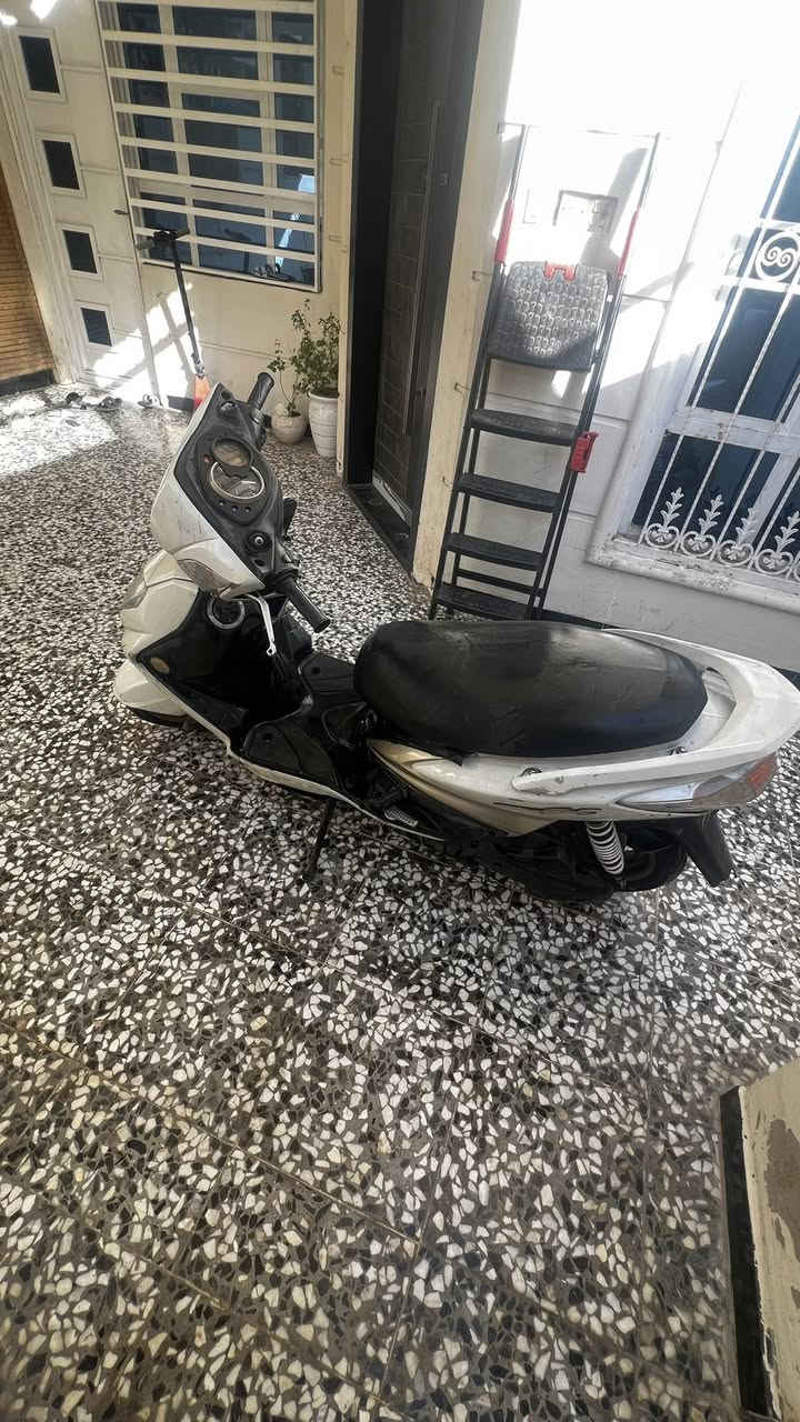 سلام عليكم سكنس فحل للبيع الدراجة مجفتة تجفيت درجة اولى عنواني بغداد بلديات مستعجل على بيعتهة السعر 450 وبيهة مجال


**إذا كنت صاحب هذا الإعلان وتريد حذفه لأي سبب، رجاءا أرسل رسالة إلى الدعم الفني**