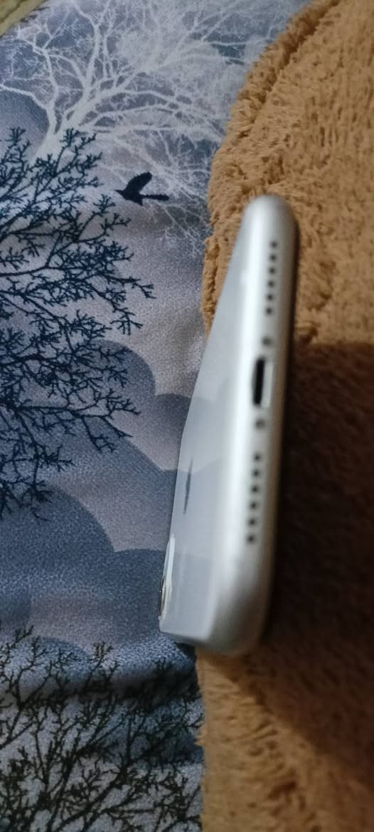 11 
مامفتوح وذاكرة 128 وبطارية 94 بيع او مراوس


**إذا كنت صاحب هذا الإعلان وتريد حذفه لأي سبب، رجاءا أرسل رسالة إلى الدعم الفني**