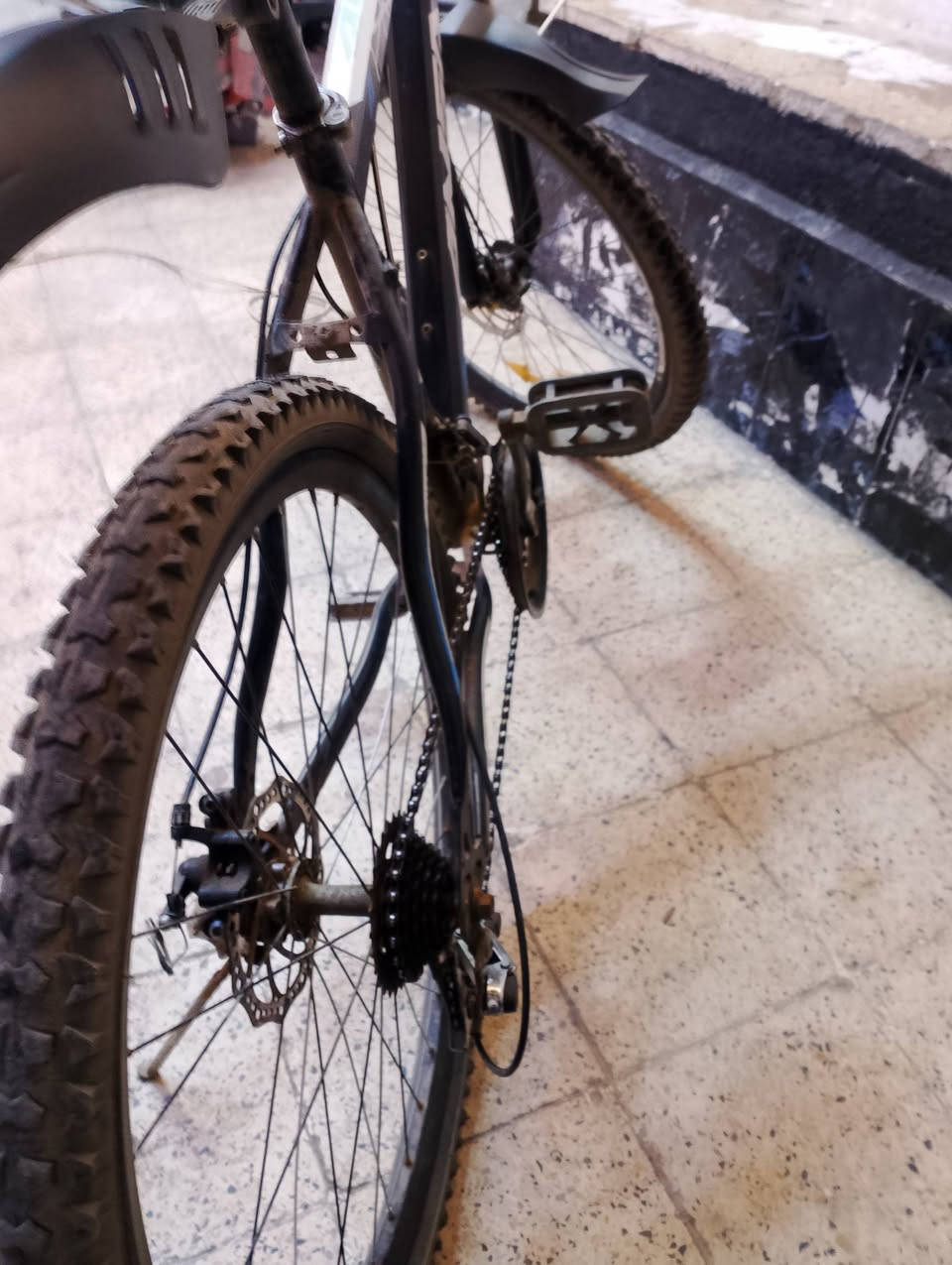 بايسكل نضيف حجم 26 كير الامامي وخلفي شغالين اسطاب الورة شغال الكدام يرادلو قمچه غير مصبوغ للتواصل على صفحة التيك توك msa8664h السعر 60 وبي مجال


**إذا كنت صاحب هذا الإعلان وتريد حذفه لأي سبب، رجاءا أرسل رسالة إلى الدعم الفني**