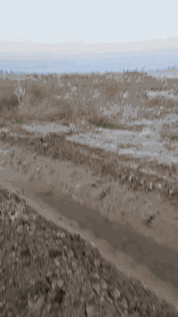 السلام عليكم
للبيع ارض ٥ دونم عقد زراعي ١١٧ وجها ٣٥ متر مقابيل الإمام ابو عروج مباشر ماء كهربا قريب عليها 

الموقع..بغداد النهروان ام العبيد الإمام ابو عروج عبدالله بن الخباب 

السعر ..الدونم الواحد  ٤٠ مليون 

ابو ..و .س ...
احمد الخزعلي 
***********
‎0777 489 3445
