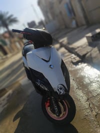 ثعلب • نضيفة • تحتاج اشاير