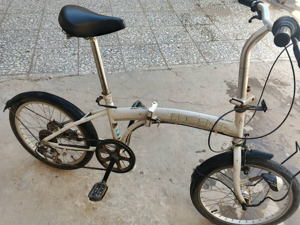 بايسكل أبو الطبكة بحالة جيدة تايرات جديدة بريك شغال و بي داينمو و ستاند العنوان بغداد سعره ٤٥ و بي مجال بسيط بغداد, العراق


**إذا كنت صاحب هذا الإعلان وتريد حذفه لأي سبب، رجاءا أرسل رسالة إلى الدعم الفني**