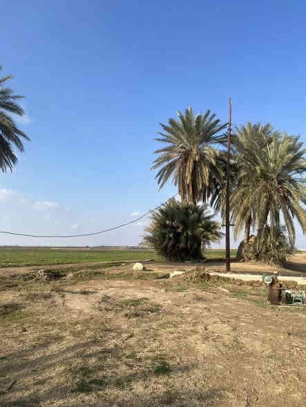 15 دونم للبيع موقع الاارض تاجي ذراع دجلة منطقة الشيخ عامر بلعيساوية واجهة دونم الواحد 50 في 50 خدمات كاملة سعر الدونم الواحد 9 مليون وبي مجال للاستفسار *********** واتساب واتصال
