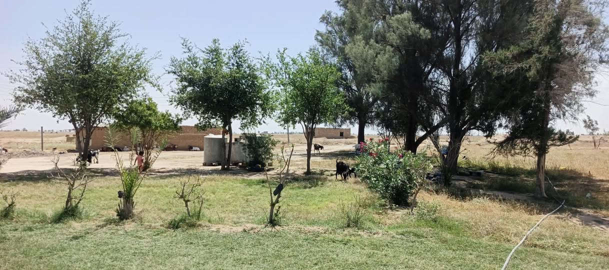 سلام عليكم كاع زراعي ٥ دوانم وبيت كامل  البيع في جريت الخزيفي مغابل جامع الخزيفي واصله مي وكهرباء وهاذ رقمي وحياكم الله سعر ٧٥ ***********
