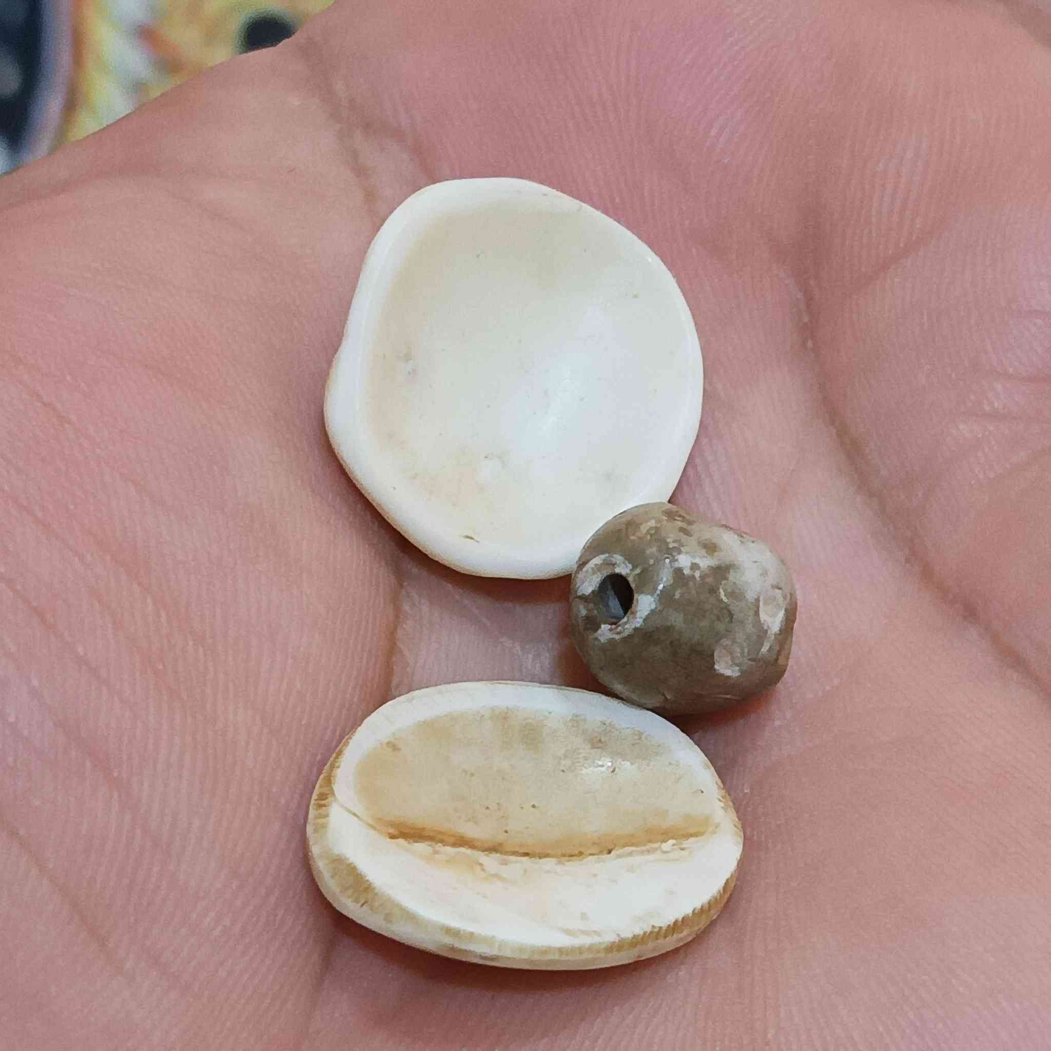 عطف قديم ملاكط للبيع العنوان البصره


**إذا كنت صاحب هذا الإعلان وتريد حذفه لأي سبب، رجاءا أرسل رسالة إلى الدعم الفني**