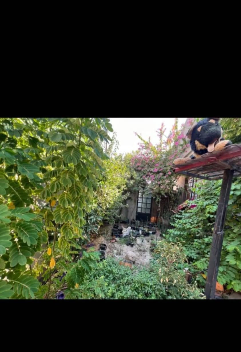 بيت طابو زراعي عقد ٢٥
يقع خلف سيد نور 
يتكون من ٤ غرف نوم
صحيات ٣
صاله ستقبال
كراج و حديقه 
المساحه ٢٥٠
العنوان واسط قضاء الصويره 
للإستفسار[***********]
