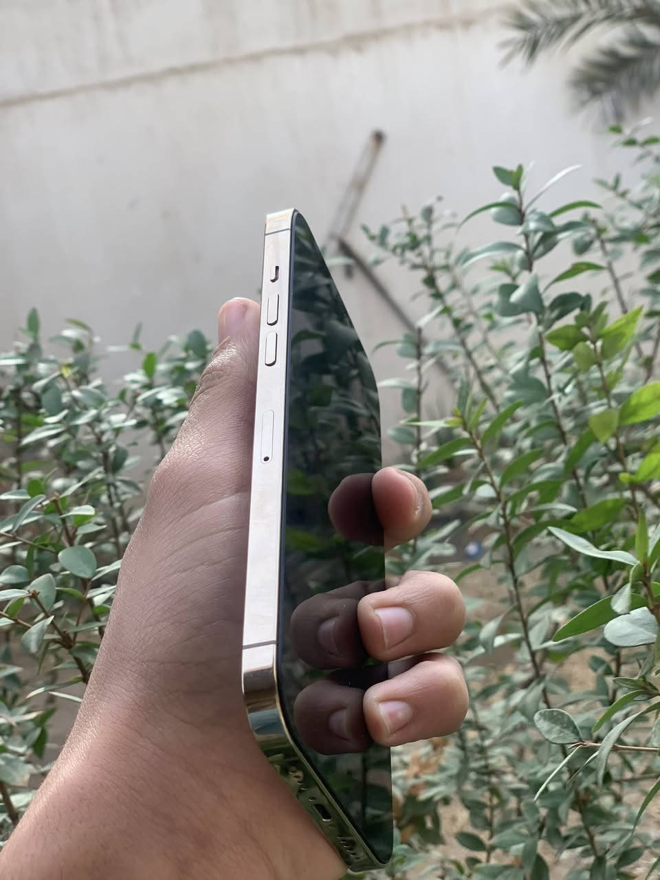 آيفون 12 برو ماكس للبيع ذاكره 256 بطاريه 77 مقفول ايكلود نضيف حيل ولا شخط بي كله شغال مقفول ايلكود بس سعر 250 وبي مجال


**إذا كنت صاحب هذا الإعلان وتريد حذفه لأي سبب، رجاءا أرسل رسالة إلى الدعم الفني**