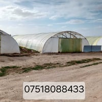 بيتين نايلون • زراعة خيار • جاهزين