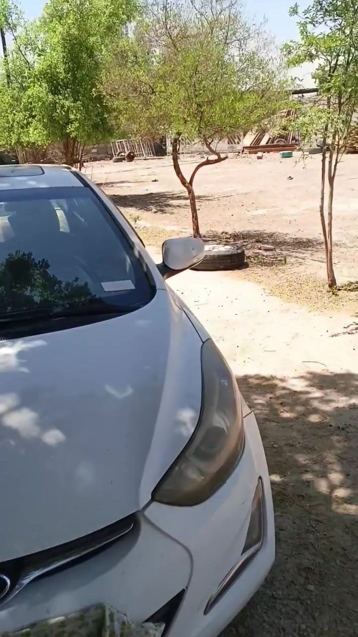 سلام عليكم ورحمه الله النترا خليجي موديل ٢٠١٥  باسمي رقم ذي قار انكليزي فول مواصفات فتحه تدفئه تبريد ماشيه ١٨٥ قابل للزيادة بيه جاملغ خلفي الأيمن مصلح نفسه والأمامي موضح بالصوره بيه صبغ جنطه وتكحيل  مكان السيارة بغداد  و كربلاء ارقامي   ***********     و *********** سعره ١١٤ بيه مجال..  وشكرا..
