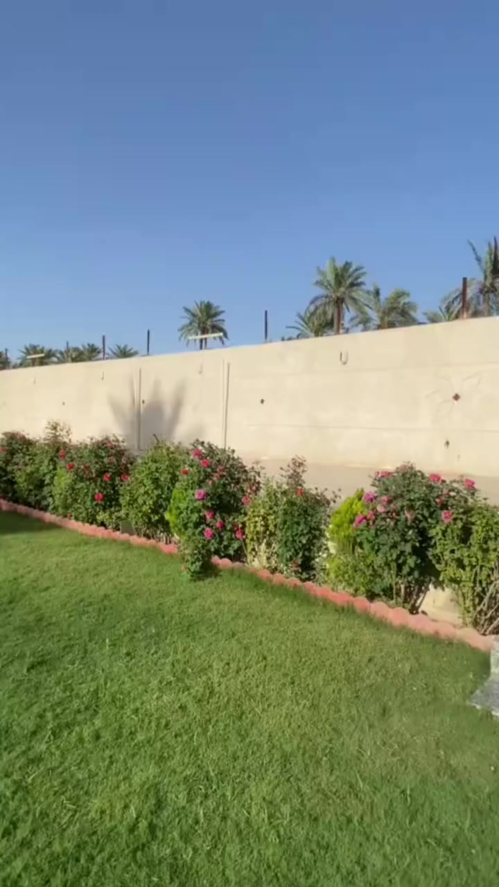 #ديكورات
🌺مشتل عطر الورد  🌺
                                👍يقدم لكم👍
🎎 تميزي ويانه🎎 نقدم لكم مجموعه منوعه🎀

✨النباتات✨ ظليات ✨ و الخارجيه💐
🌺السندان الفخار و سيراميك و بلاستك و تحفيات 🍒
🥰بما يناسب ذوقكم الرفيع🥰
😎هولندي 💕تركيا 🌷العراقي 🧐الإيراني 😎ايطالي 
والدينا  كادر زراعي متخصص في تصميم وتنفيذ الحدائق المنزلية ب أحدث الديكورات 
تصميم وترتيب ديكورات + زرع حدائق +زرع اشجار +
تقليم الأشجار + قص ثيل + قلب وتنظيف تربه +
تنظيف وترتيب الحدائق ترتيب + تبديل تربه +
ترتيب اطارات الحدائق بل حصو الملون 
ترتيب سياج الحدائق بل طابوك الملون 
❄ يوجد  ادامه الحدائق والادويه  كافه انواع  🍶الادويه والمبيدات متوفره لدينا 🍀  مع وجود خدمه توصيل 🔥🚕  

😊الحجز ع الخاص😊
***********استفسار اتصال☺️
😊فايبر واتساب👍. #نباتات #زراعه #حدائق #ديكور #اكسبلور #ترند #مشتل_عطرالورد @أبرز المعجبين
