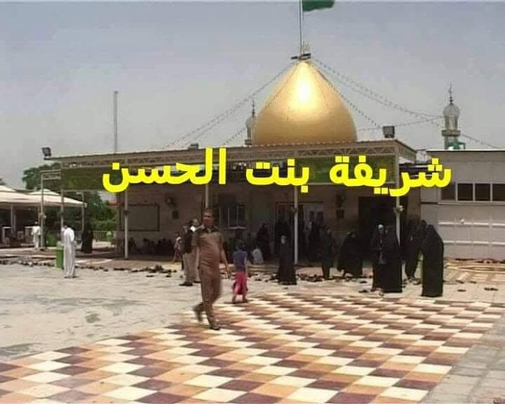 🌷تعلن رحلات ابومصطفئ 🌷الموسوي 🤲

   لزيارة العتبات المقدسة

موعدنا يوم الخميس الإنطلاقه الساعه الثامنه ليلاً 

🌷سارع بلحجز المقاعد محدودة 🌷

🌺🌺🌺🌺🌺🌺🌺🌺🌺🌺🌺🌺🌺🌺🌺🌺
🌷تعلن رحلات ابومصطفئ🌷الموسوي 🤲

زيارة النجف كربلاء شريفه والتفاصيل 👇👇✍️✍️👍👍👍👍👍👍👍👍👍👍👍✍️✍️✍️✍️✍️✍️

 للسفر والسياحة🌹ذي قار ونواحي والاقضيه 🌹

 #موعدنا_ مساء الخميس الساعه الثامنه  ليلاً 
المصادف 2026/7/9 

💕💕💕💕💕💕💕💕💕💕💕💕💕

راحتك وراحة عائلتك تسوه كلشي فـ خلي اختيارك للرحله صح وراح تشوف راحتك وراحه عائلتك بالسفر ويانه تختلف عن باقي حملات

#مورحله_بيها_ستين_حظ...👇👇👇👇👇

♥️♥️♥️♥️♥️♥️♥️♥️♥️♥️♥️♥️♥️♥️♥️♥️♥️♥️♥️
احسب لمجانيات 
أولا...ماء كاسات بارده على طول رحله..ثانيا.. مسابقات وهدايا داخل الباص...ثالثا .....كل عشره مقاعد مقعد مجاني  كل هذا وبسعر مغري( 12 ) الف
🎈🎈🎈🎈🎈🎈🎈🎈🎈🎈🎈🎈🎈🎈🎈🎈🎈🎈🎈

♦️تعلن رحلات ابومصطفئ   للسفر والسياحة
💢 الاول في #ذي_قار من البرامج والخدمات 
♦️ فقط السائق بدون ابوحمله وما اشبه بذالك 
♦️ عوائلنا محترمه وذو ترتيب 
 ♦️خدماتنا في الامير مموجودة عند الحملات 
♦️ باصاتنا حديثه ومكيفة 
♦️ستكون مسابقه وهدايا داخل الباص

اسأل بالتعليقات عن حملتنه ولك حق الاختيار 😘

موعد رحلتنا ان شاء الله كل مساء يوم الخميس 
💢 اقرأ التفاصيل
 👇👇

اليوم لاول
🌺 زيارة النجف الاشرف والمقبرة 🌺

🌻والمبيت في كربلاء 🌻

⭕  اليوم الثاني

🌹🌹🌹🌹🌹🌹🌹🌹🌹🌹🌹🌹🌹🌹🌹

🌺 ايضا المبيت في كربلاء

🌺🌺🌺🌺🌺🌺🌺🌺🌺🌺🌺🌺🌺🌺🌺

⭕اليوم الثالث 

🌹زياره العلويه شريفه ع 🌹

 والعودة يوم الأحد عصرا

👈 ملاحضه يوجد فندق في كربلاء المقدسة 

🌺🌺🌺🌺🌺🌺🌺🌺🌺🌺🌺🌺🌺🌺🌺
اهلا وسهلا بكل متابعين ومسافرين ( #رحلات_ابومصطفئ_للسفر_والسفر)

ملاحظة ــ عوائلنا ذو احترام وترتيب عال في الباص  خدمتنا في العمل مهنيه وخبره عاليه  ــ

تعلن #رحلات ابومصطفئ الموسوي عن برامجها في كل اسبوع 
➖➖➖➖➖➖➖➖➖➖➖➖➖➖➖➖

      التفاصيل  👇    لاتفكر بفرق السعر فكر براحتك
#البرنامج_يشمل 🙈😍
***  النقل من موقفنا المذكوراو حسب مكان المسافر والعودة نفس المكان في باصات حديثة ومكيفة ومريحة 

*** السكن في فنادق 4 نجوم وبأاسعار تنافسيه 
*** مسابقات وهدايا لكل المسافرين 
❗ توجد عروض خاصة لأاصحاب الحملات والاعداد الاكثر من 10 نفرات
 ⚜ علما التسجيل عبر مراسله الصفحه خاص

فرعنا الرئيسي ... ناصريه جسر ابراهيم الخليل سوق هرج

الفرع الثاني ...خطوت الامام علي ع المنصوريه
الفرع الثالث... سوق الشيوخ قرب تقاطع الوائلي

#رحلات ابومصطفئ الموسوي للسفر والسياحة 

ملاحظه للحجز والاستفسار على الأرقام التاليه ***********
***********
*********** واتساب أو اتصال او مراسلتنا على الصفحه خاصه خدمتكم شرف لنا
المتعهد ابو مصطفى الموسوي
