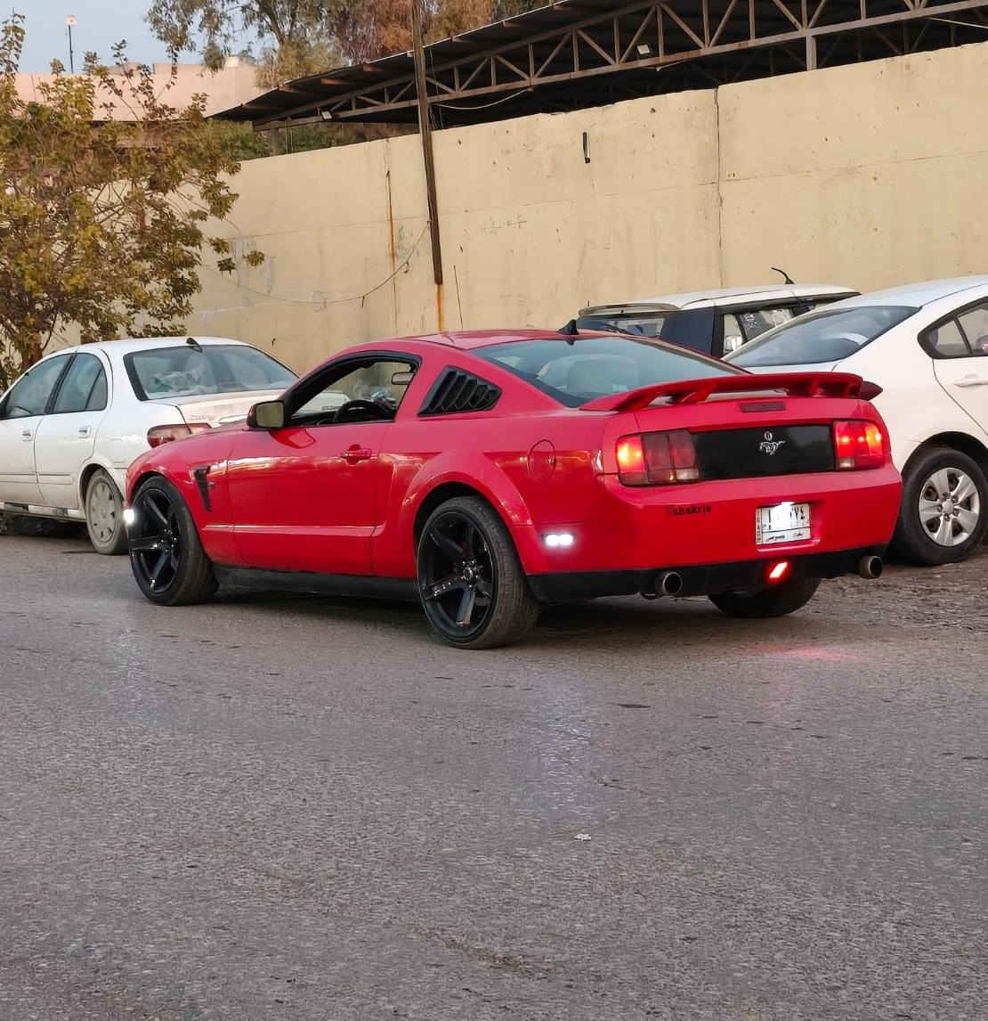 الحلوة للبيع 
 موستنك 2008 السيارة مصبوغة عام 
كير مكينة اكسل شرط دشبول ثمانية الوان مكينة ستة سلندر السيارة حلوة وكاعدة ومرتبة داخلها مسجل شاشة السيارة رقم بغداد شرعي بل موصل 
ابيع نقد وابيع اقساط 
مكاني الموصل 
الشراي يتصل 
***********
***********
