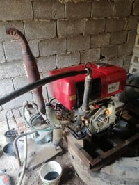 مولد • نمر • بيت نامي