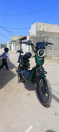 باسكل شحن • النجف • سعر مناسب