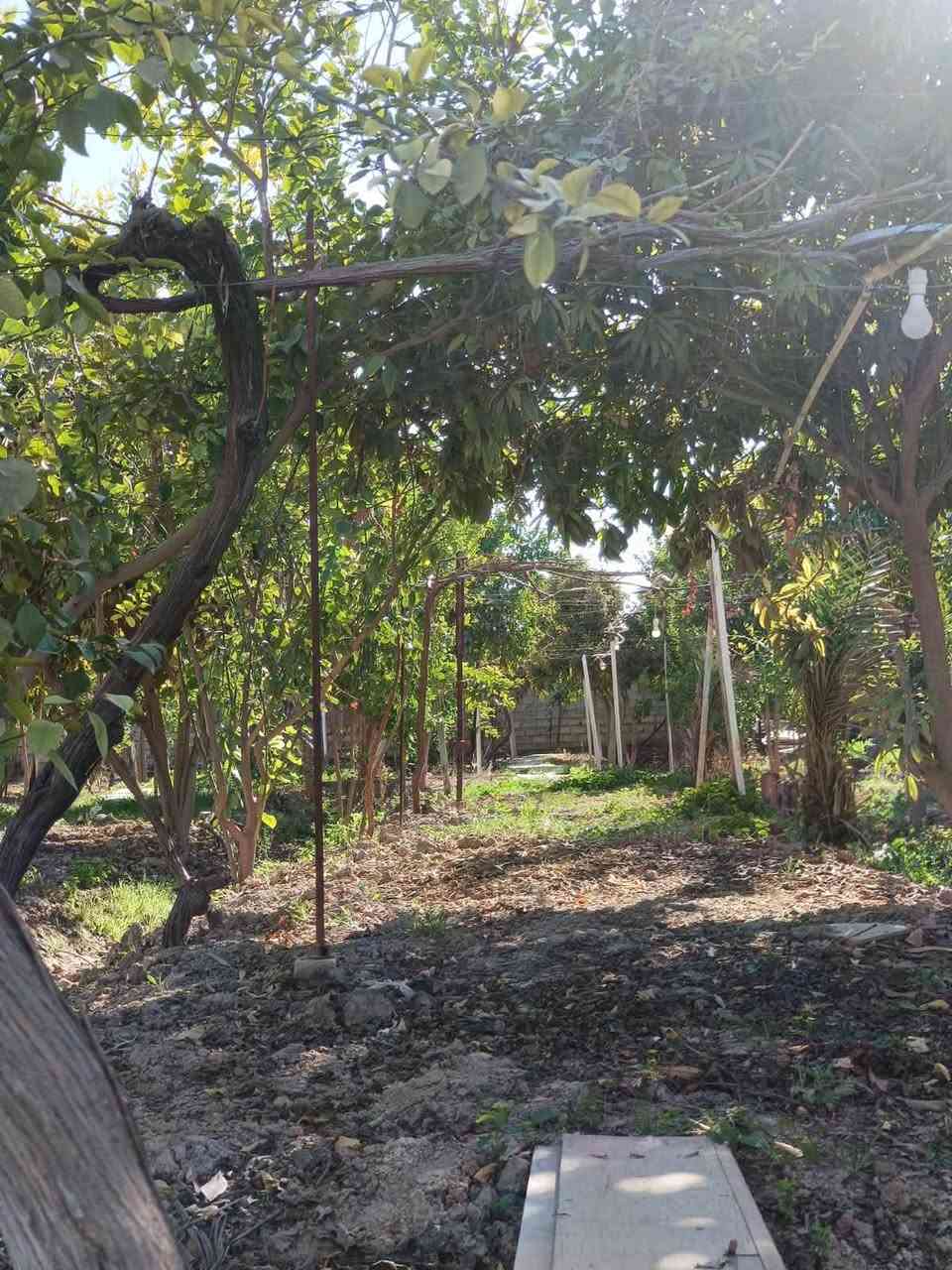 مرحباً بكم في مزرعة المحبة!
يسرّنا استقبال العوائل والشباب من جميع محافظات العراق، في قلب مدينة بلد الحبيبة، والتي تبعد فقط 70 كيلومتراً عن العاصمة بغداد، وتُعدّ متنفساً طبيعياً بهوائها العليل وطبيعتها الساحرة 🌿☀️.

نظام الحجز:

شفت صباحي: من 10 صباحاً إلى 5 عصراً 🌞

شفت مسائي: من 8 مساءً إلى 8 صباحاً 🌙✨

مزايا المزرعة:

مساحة 2500 متر مربع، مزروعة منذ أكثر من 15 سنة 🌳

قمرية عنب بطول 100 متر وعرض 5 أمتار 🍇

كراج يتسع لـ 10 سيارات 🚗

مسبح كبير للكبار (يتم تبديل مياهه بعد كل شفت) 🏊‍♂️

مسبح صغير للأطفال 🛝 ‏‏⁨‪***********
