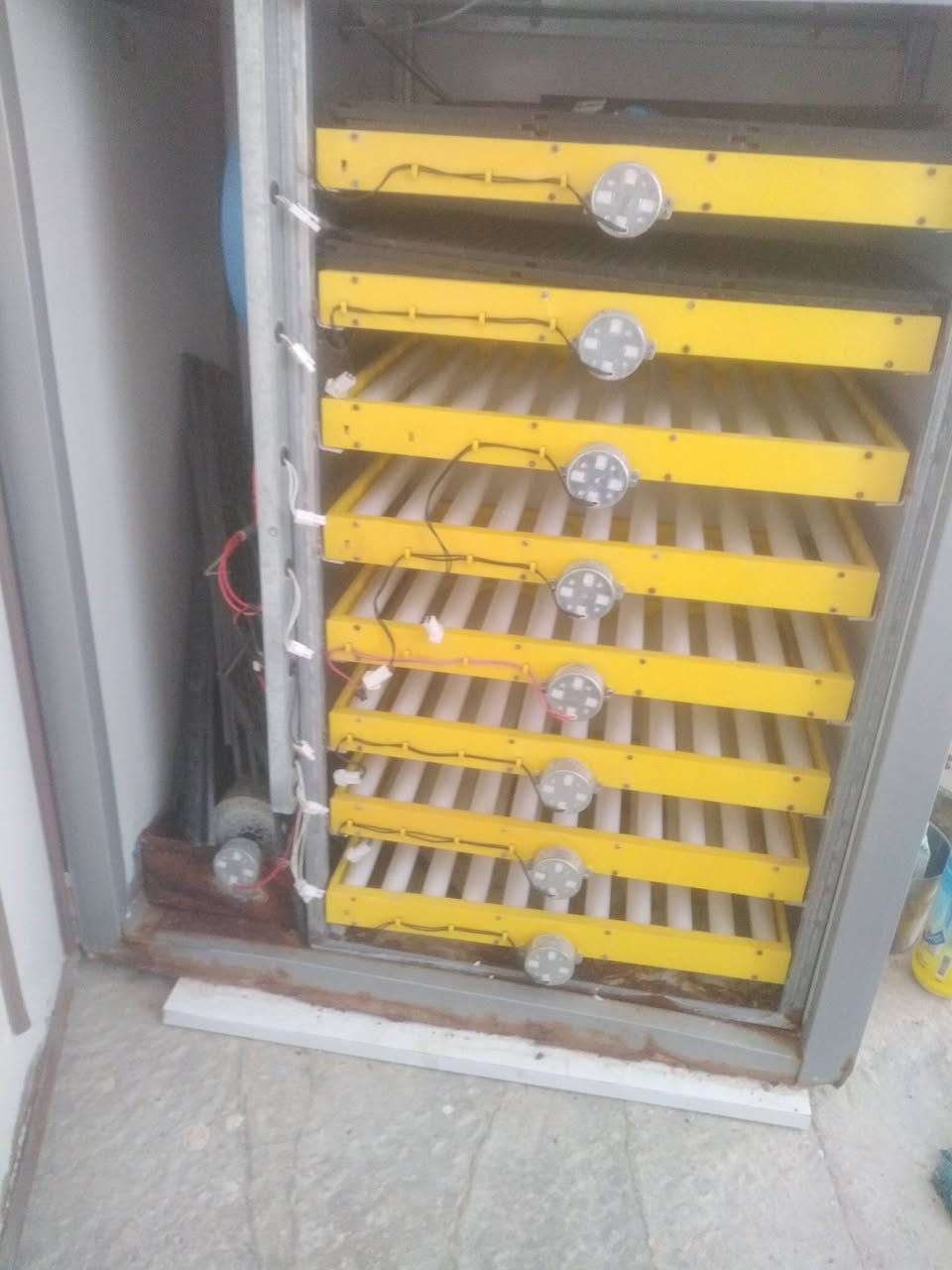 فقاسة ٥٠٠ بيضة للبيع
بيهة زنجار بس من الأرضية كما موضح
قيم السعر واخذ بدون ان تكسر بالسعر نسبة التفقيس ٩٥٪
الشراي هذا رقمي ***********
العنوان / ديوانية مركز حي الجامعة نهاية شارع ٢٠ قرب اسواق الجوهرة
