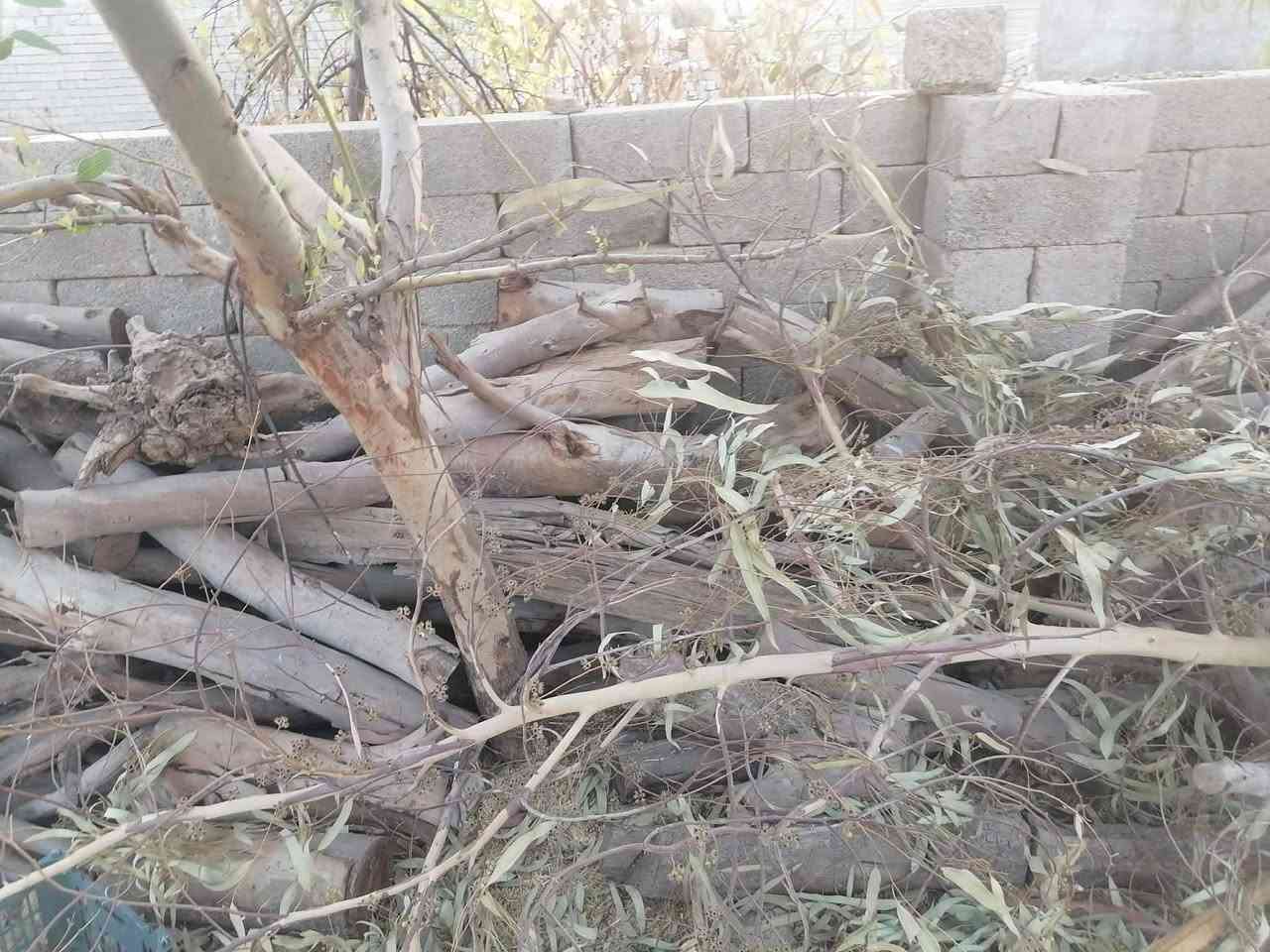 للبيع ‏‪***********‬‏
