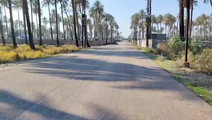 يالله سلام عليكم #دونم للبيع المكان بغداد الراشدية منطقة ابو دالي دونم طابو ملك صرف زراعي سند 25 تحويل ابسم المشتري الواجهة 33 متر. ونزال 76متر كافة الخدمات متوفرة الاتصال ***********
