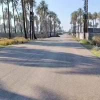 يالله سلام عليكم #دونم للبيع المكان بغداد الراشدية منطقة ابو دالي دونم...