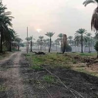 المدائن سلمان باك • ١٦٠٠م • طابو سند ٢٥