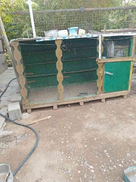 السلام عليكم موجود قفص للبيع الارتفاع 1م و10
ول عرض 1م و10
ول طول 2م و20
 الخشب درجه أوله.     للاستفسار. ***********
