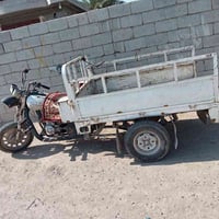 ستوته للبيع • ستوته • ستوته نظيفة • ستوته بدون اوراق • ستوته مستعملة •...