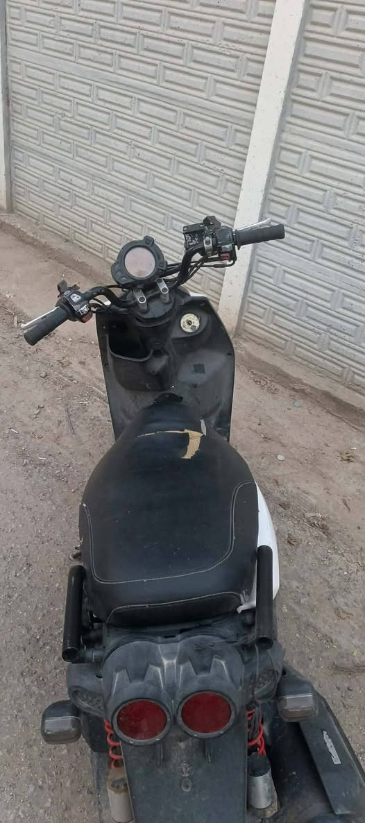 سكنس فحل البيع نقصه بس كفرات السعر 750 وبيه مجال رقمي  ***********
