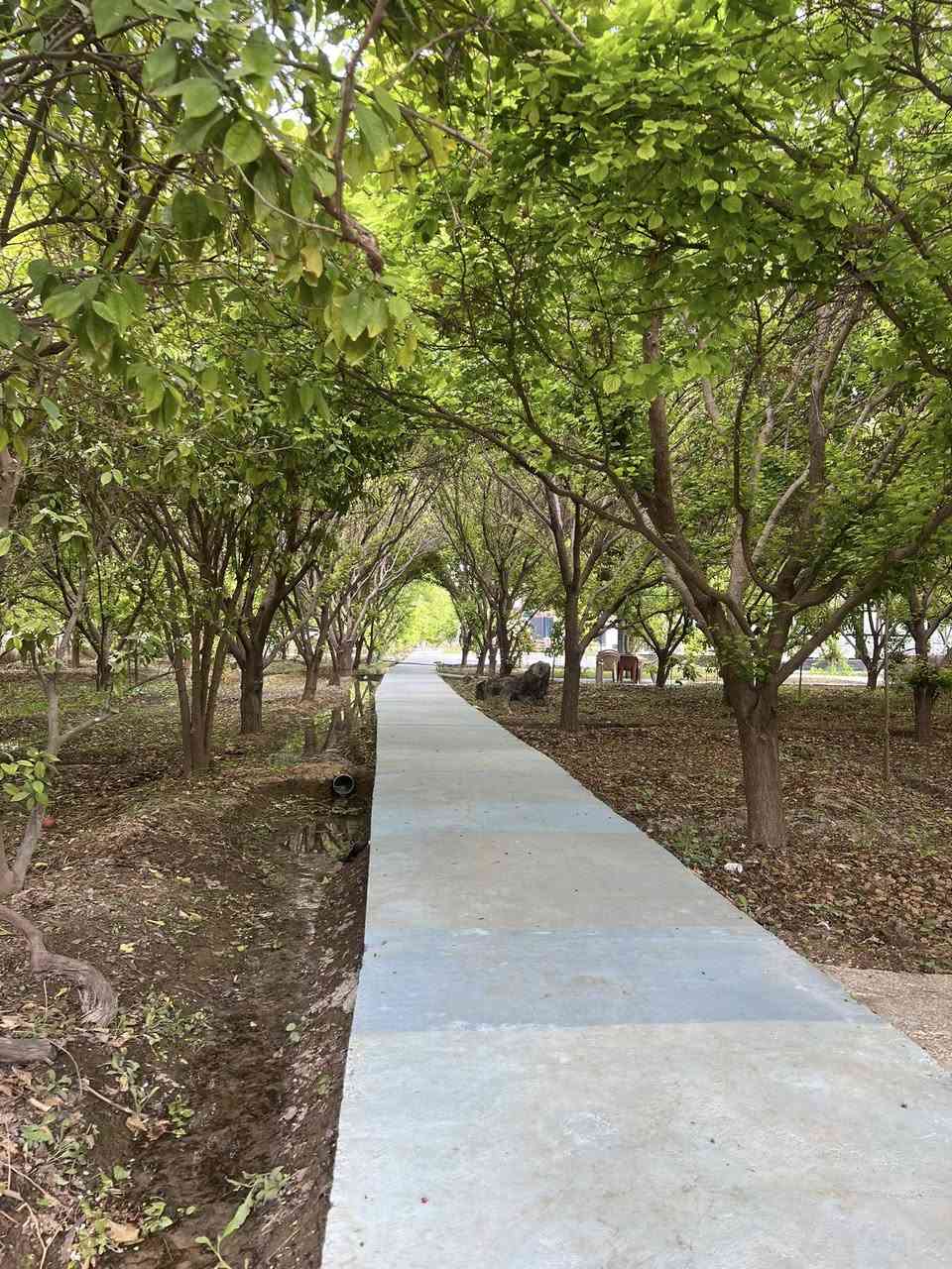 🏡🌳—مزرعة الظِلال vip العائلية—🌳🏡
  موثقة بتطبيق اجرلي ✔️ . نظافة 💯
مسبح مغلق حار بارد ومسبح اطفال🏊‍♂️ 💧 
كهرباء وانترنيت24 ساعة ⌚️ 
العاب بليارد 🎱 منضدة 🏓 ترامبولين. مراجيح.ريشة🏸
العنوان:بغداد التاجي 15 دقيقة عن الكاظمية 
تابعوا حساباتنا نسوي عروض خاصة🔝
للاستفسار واتساب ‭📱0771 319 5374‬
