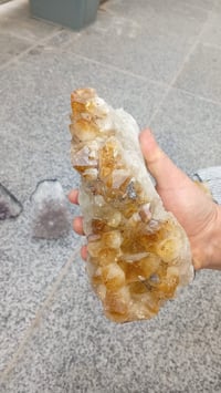 شلع • مستلزمات شخصية