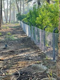 ارض زراعيه • الفلوجه الشهابي الثالثه • سند 25