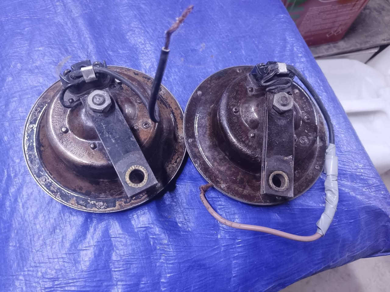 بوش جنح الماني
بلاد اقراصهن ما مكصوصات 
نضاف وحلوات دكتهن حلوه 
مكانهن النجف سعرهن 400وبيهن مجال للطيبين
***********
