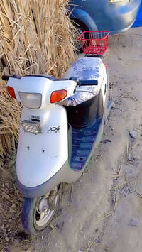 جوك • ياباني • سوك الشيوخ