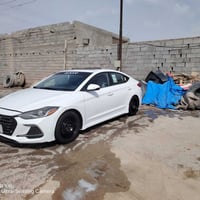 النترا ٢٠١٧ • وارد كندي • رقم بصره