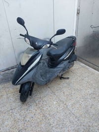 ياباني • أوراق كاملة • بغداد بلديات