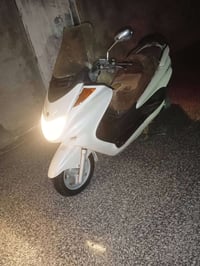 ماجسته 06 • شغالة • ناصرية مركز