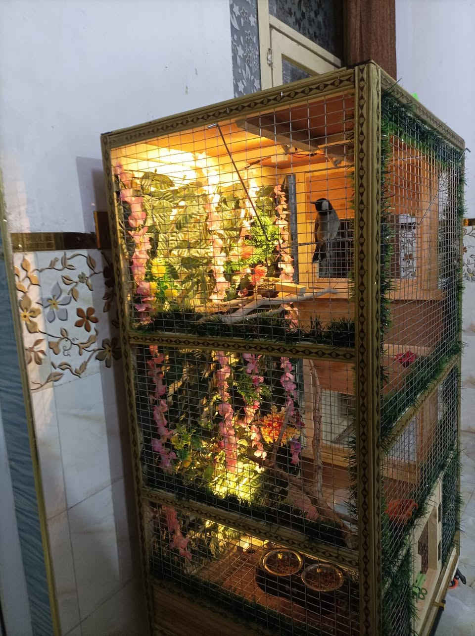 اللهم صلِّ على محمد  محمد♥️
للبيع قفص فقط 
 قفص لتكاثر الغندور والكوكتيل وطيور الحب والفنشات   وجميع الطيور بانواعها  ارتفاع متر و ٤٠  مع الجروخ الواجه ٨٠ نزال ٦٠ عمل كلش روعه السعر ١٣٥ ألف الاتصال            ***********
