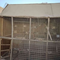 قفص خشب طول 3م عرض 1.5م ارتفاع 3م مع بيوت الطيور كامله ماموصل شي الي ي...