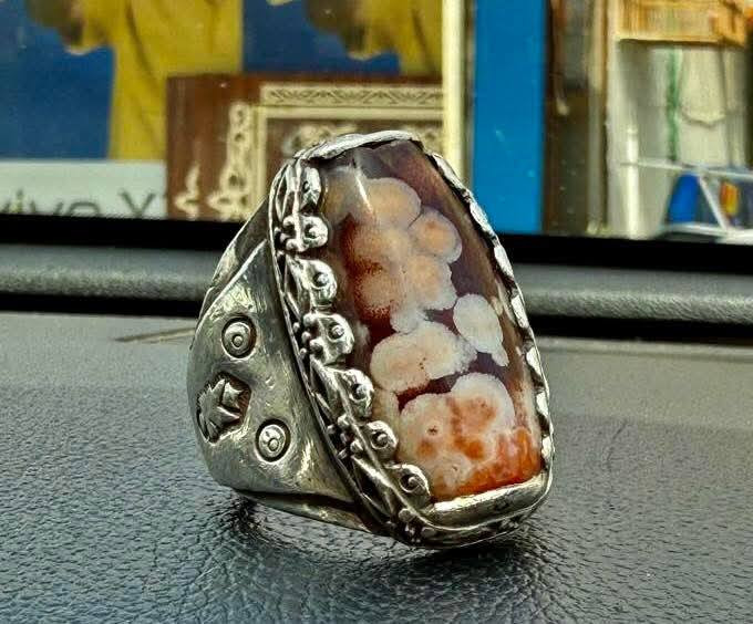 اللهم صلي على محمد وآل محمد الطيبين الطاهرين
لعيونكم جمال الداودي او السليماني الأحمر جمال بنكهه قديمه والاصاله لتواصل ع الرقم ***********
