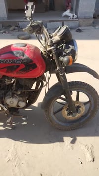 بوكسر • ٢٠٢١ • بدون اوراق