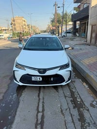 كورلا هايبرد • ٢٠٢٥ • الدورة