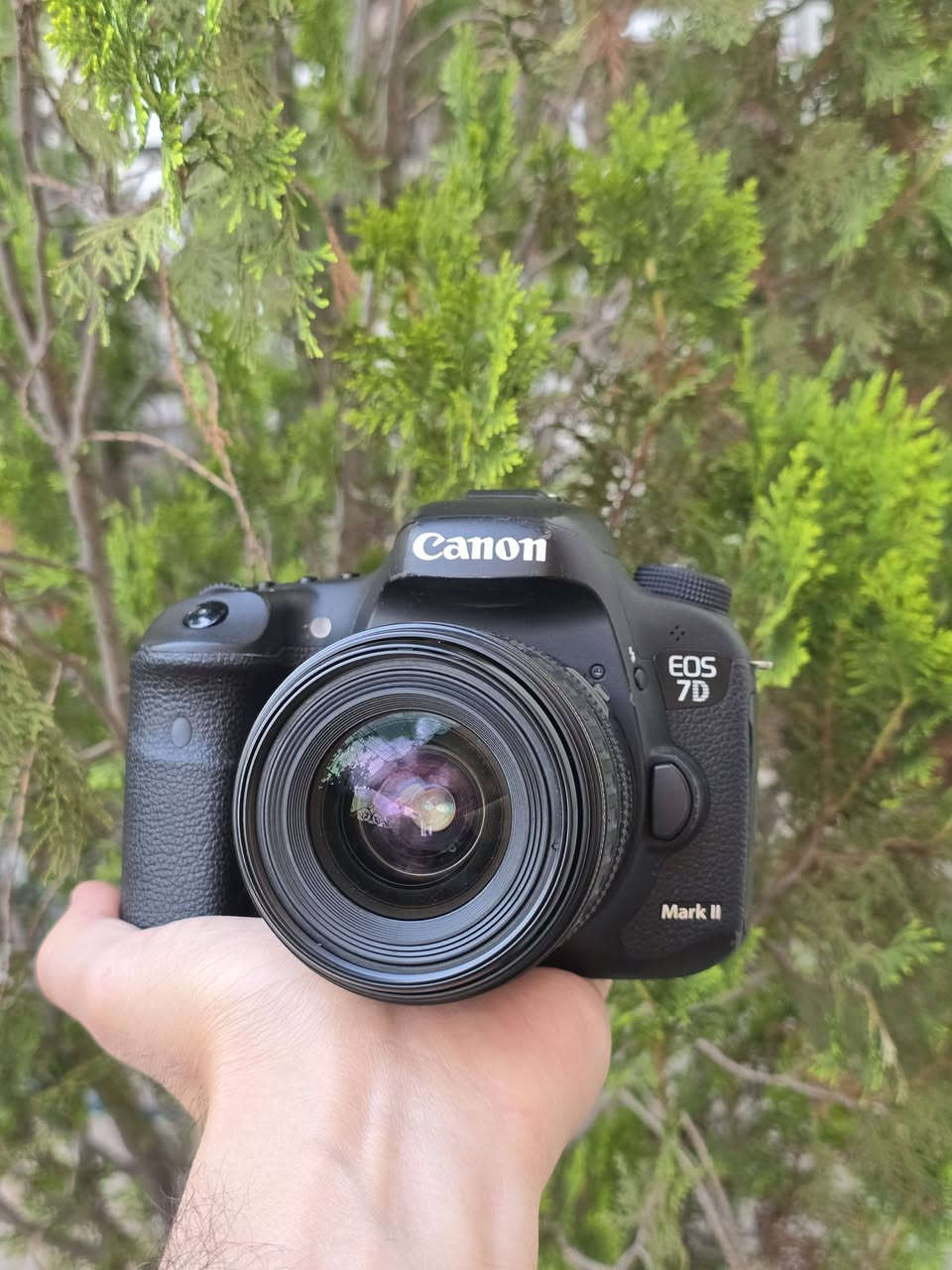 Canon 7DII
28-80 
للبيع 
كانون 7DII مع عدسة ٢٨-٨٠ و بطارية و شاحن أصلي و حزام 
نظافة ٩٥% 
شتر ٤٨
سعر ٥٨٠ ألف، توصيل متوفر.


**إذا كنت صاحب هذا الإعلان وتريد حذفه لأي سبب، رجاءا أرسل رسالة إلى الدعم الفني**