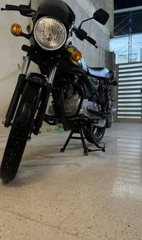 بوكسر هندي • موديل 2023 • مرقمة