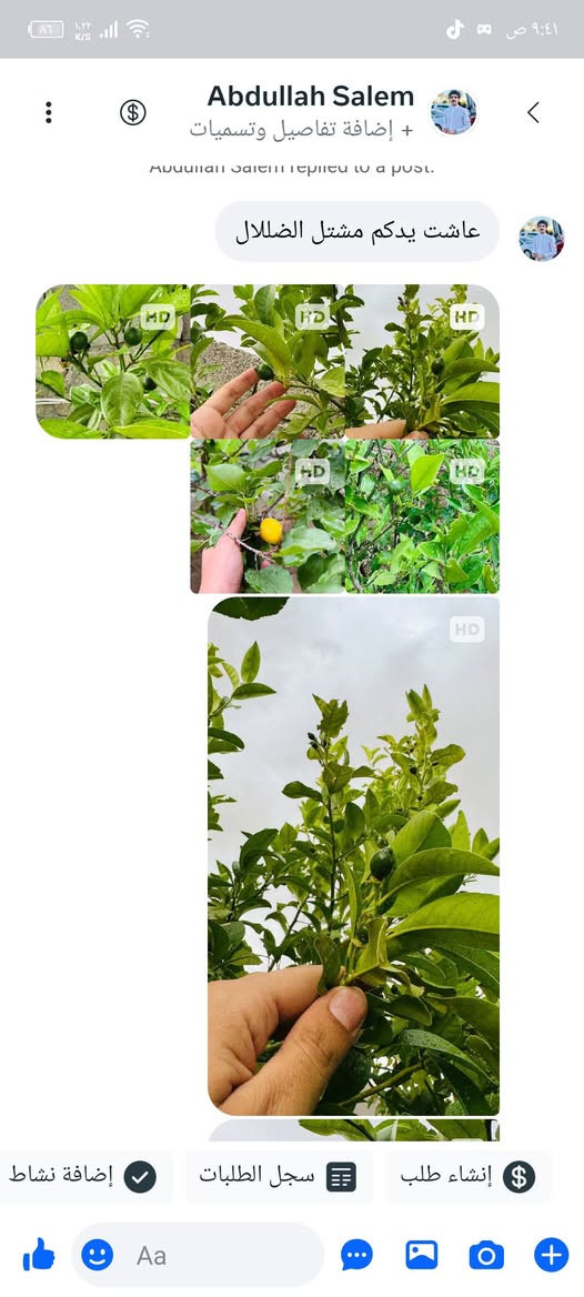 🌿
في مشتل الظلال  � نحرص دائمًا على المصداقية في الصنف والنوع، ونوفر النباتات والبذور والأسمدة الأصلية بكل أمانة وثقة 🌱
“الصنف الصحيح يبدأ من المصدر الصحيح” 💚
للاستفسار ***********
زبون ارسل لنا اشجار تم زراعتها العام الماضي وهذه النتائج

