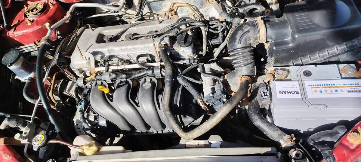 السلام عليكم ورحمة
سياره جيلي للبيع ٢٠١٣ موبل رقم ذي قار دولي تخم تايرات جديد باتري جديد حداديه جديده المكينه بيها خيط بخار السياره مكفوله كفاله عامه من ضربه وتبديل السياره نصبتها كلش حلوه وحله من صوره مال جناي السعر ٤٣ وبيها مجال بصيط مكان سياره الديوانيه قضاء عفك اخوان انا مكلف بلنشر الخاص مغلق رقم صاحب سياره *********** *********** فيصل جواد ابو علي
