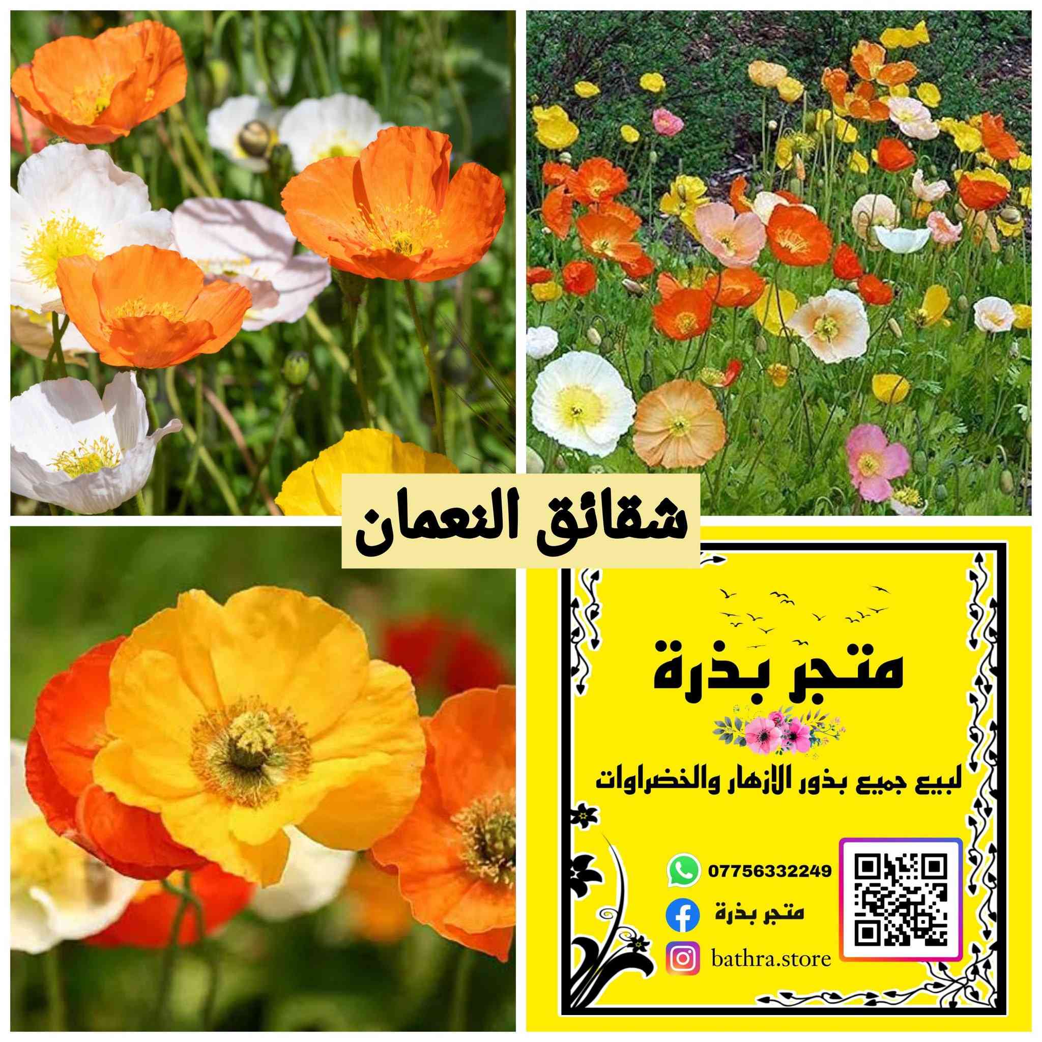 السلام عليكم ✋
متوفر مغلفات بذور منها موسمية ودائمية البذور تاريخ انتاجها ٢٠٢٥-٢٠٢٤ وتاريخ انتهاء ٢٠٢٨-٢٠٢٧ وقسم الى ٢٠٣٠

♦سعر المغلف  ١٥٠٠ دينار ♦

توصيل جميع المحافظات ٥٠٠٠

للتواصل مراسلة الصفحة او التوصل على الواتس اب على الرقم ***********
