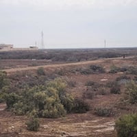 8 دونم • عقد 35 زراعي • واجهة 100م