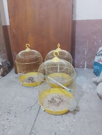 قفاصه جدد للبيع ب١١ الواحد ابيع شلع باب خشب صاج هم للبيع ٣٠ هيه وجرجوب...