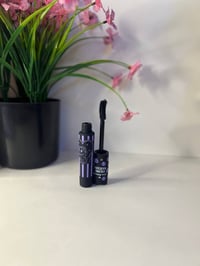 مسكارات • أصلية