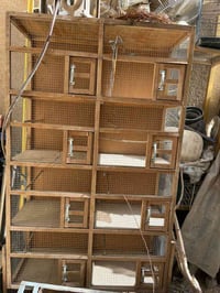 اقفاص نظيفه • حجم كبير • الخسرويه